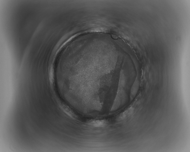 X0000115300247200911091018