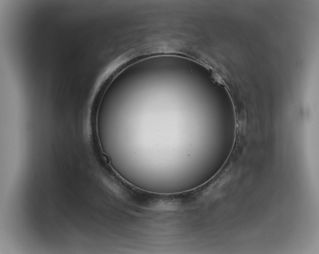 X0000115300248200911091018