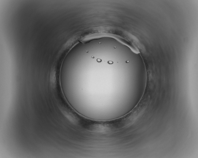 X0000115300250200911091018