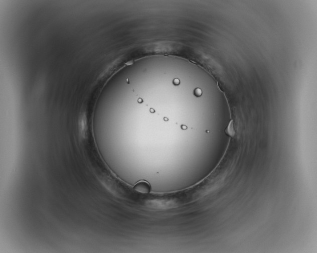 X0000115300251200911091018