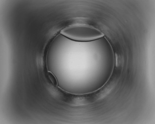 X0000115300252200911091018