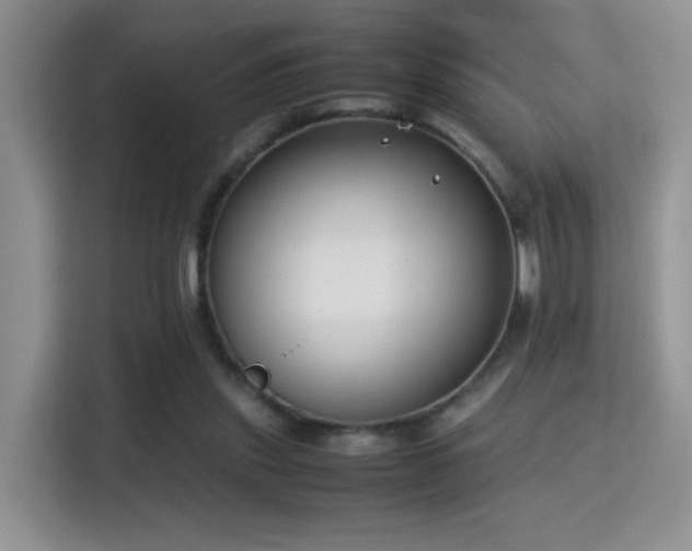 X0000115300253200911091018