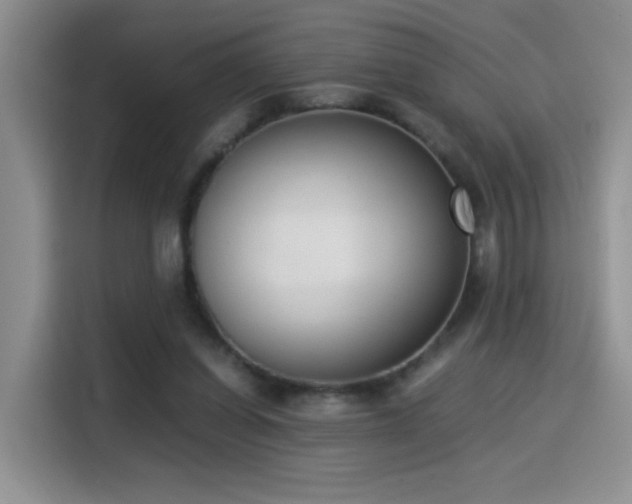 X0000115300254200911091018