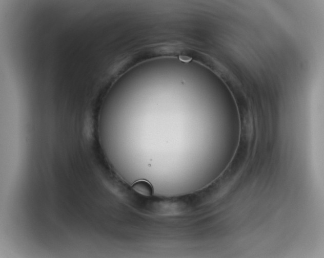 X0000115300255200911091018
