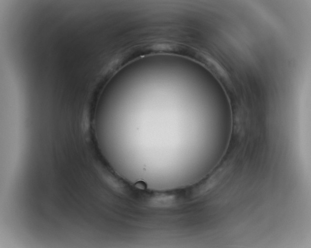X0000115300257200911091018
