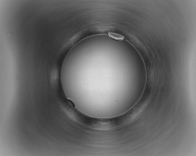 X0000115300260200911091018