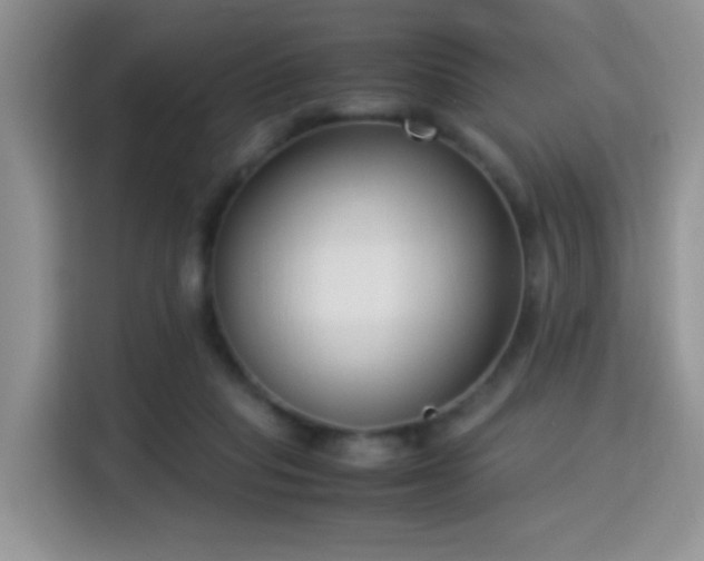 X0000115300261200911091018