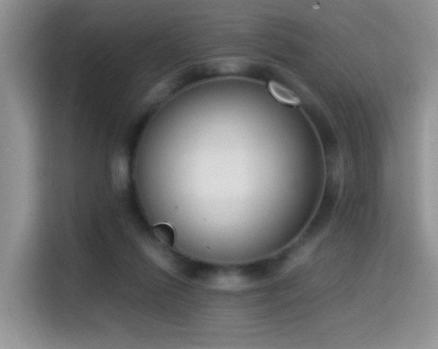 X0000115300262200911091018