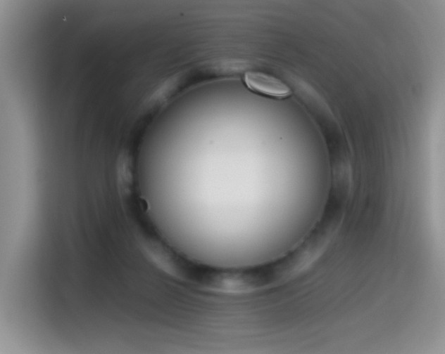 X0000115300264200911091018