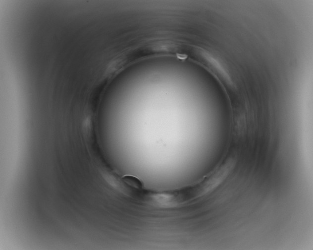 X0000115300265200911091018