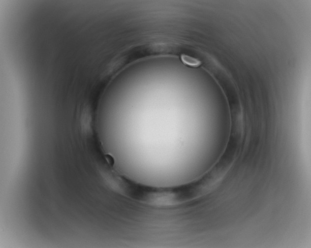 X0000115300266200911091018