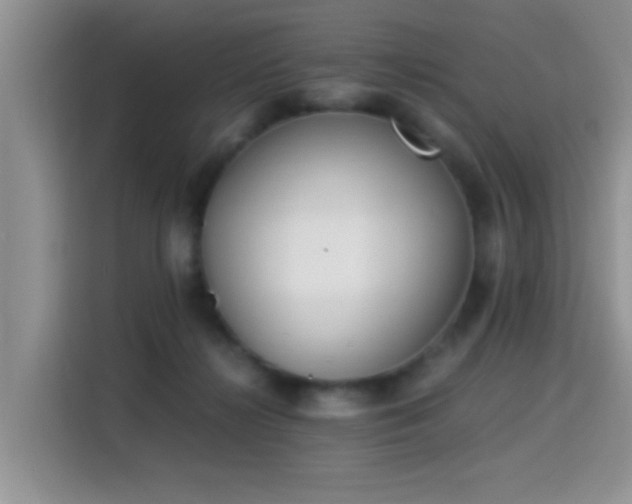 X0000115300268200911091018
