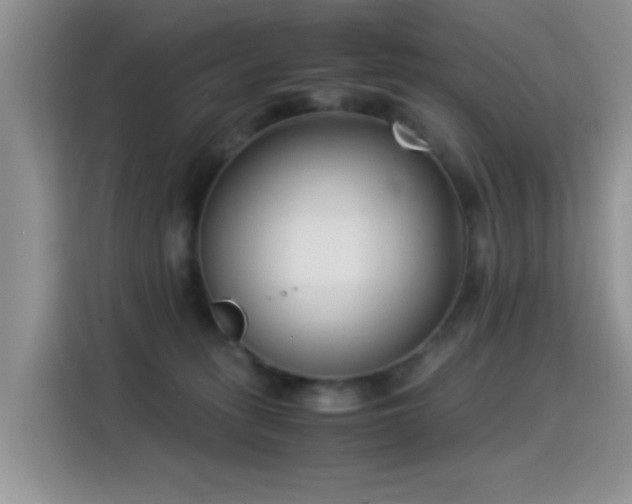 X0000115300275200911091018