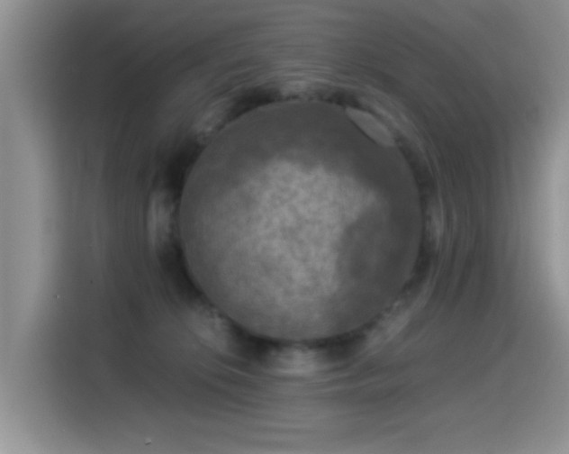 X0000115300276200911091018