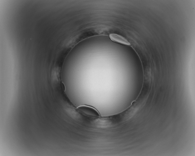 X0000115300280200911091018