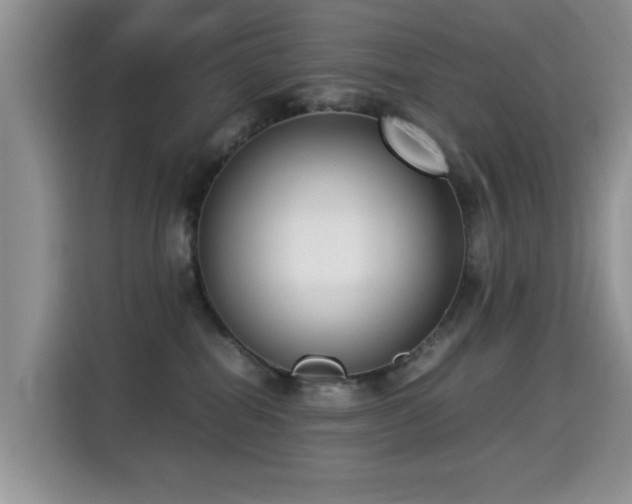X0000115300282200911091018