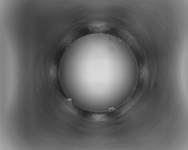 X0000115300283200911091018