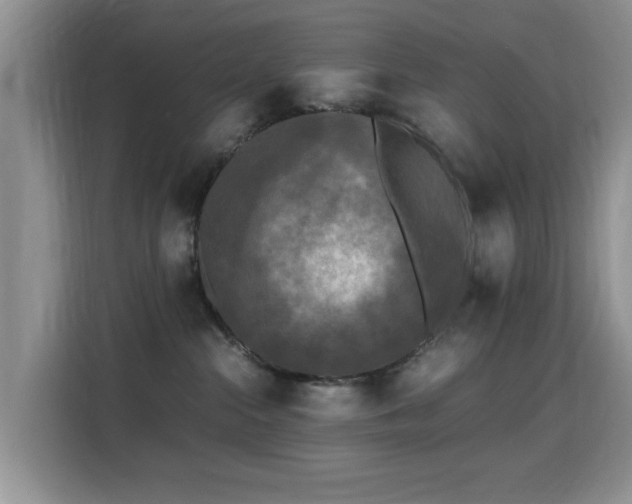 X0000115300284200911091018