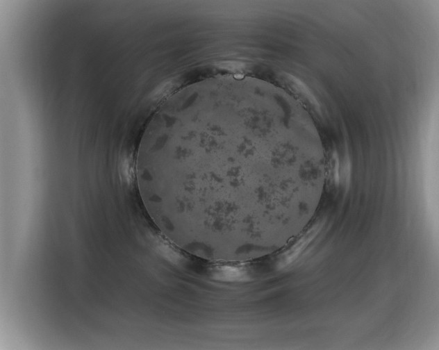 X0000115300285200911091018