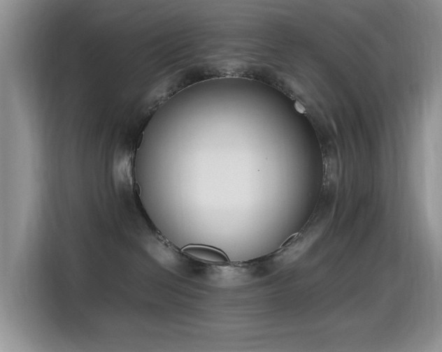 X0000115300286200911091018