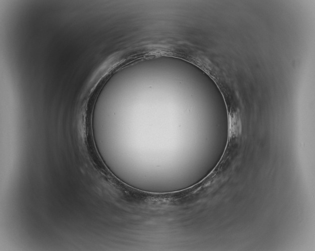 X0000115300291200911091017