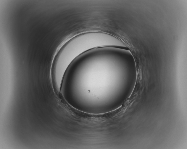 X0000115300292200911091017