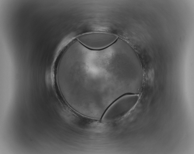 X0000115300294200911091017