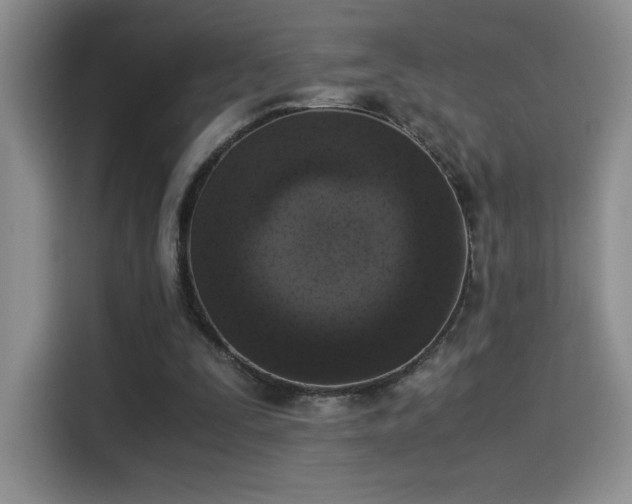 X0000115300295200911091017