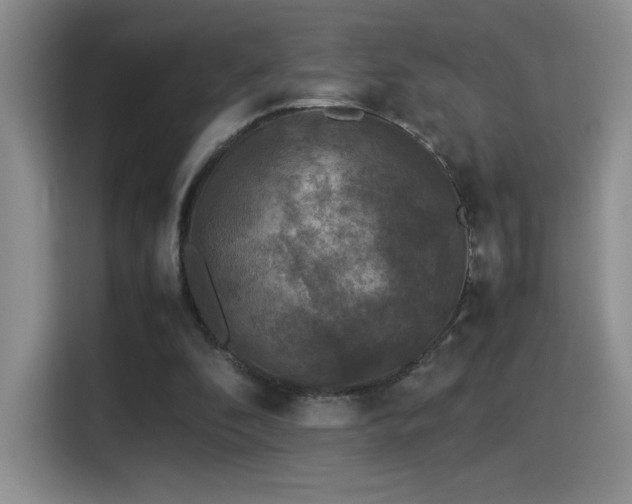 X0000115300296200911091017