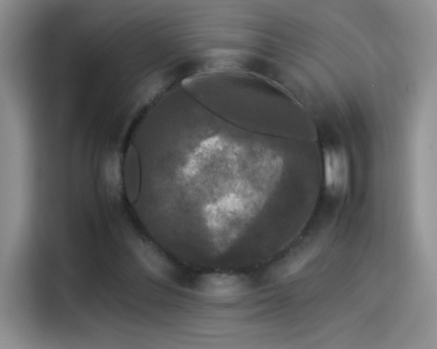 X0000115300300200911091017
