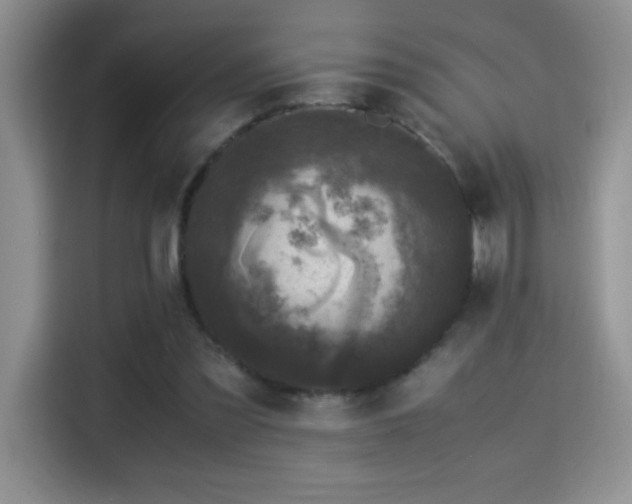 X0000115300301200911091017