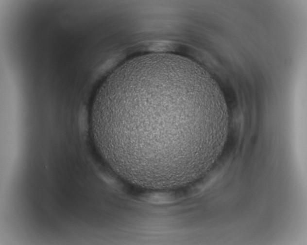 X0000115300303200911091017