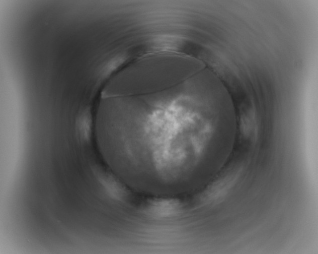 X0000115300304200911091017