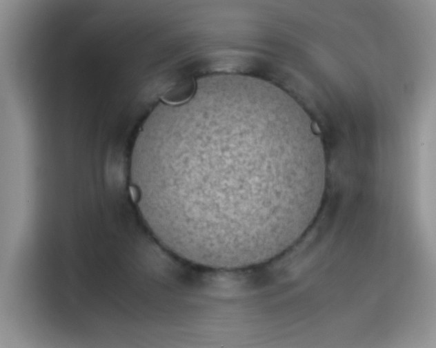 X0000115300305200911091017