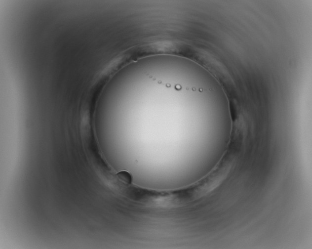 X0000115300306200911091017