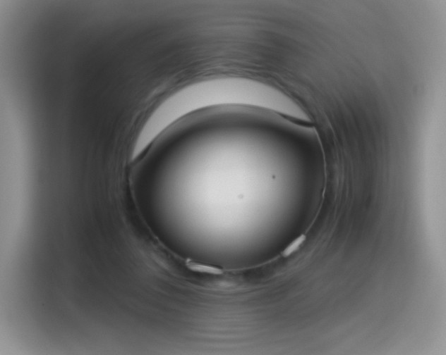 X0000115300308200911091017
