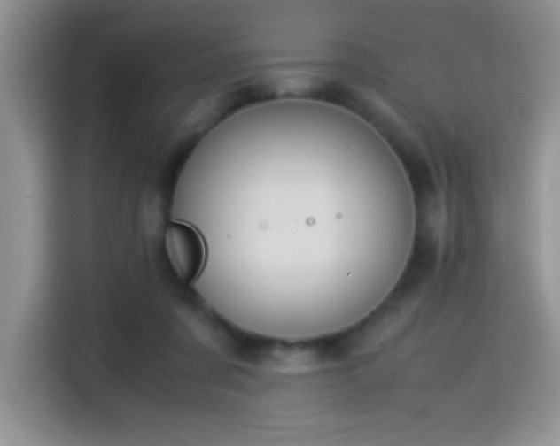 X0000115300311200911091017