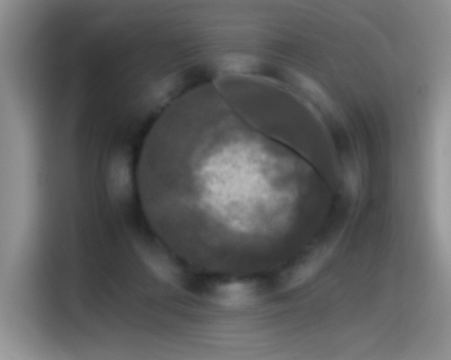 X0000115300312200911091017