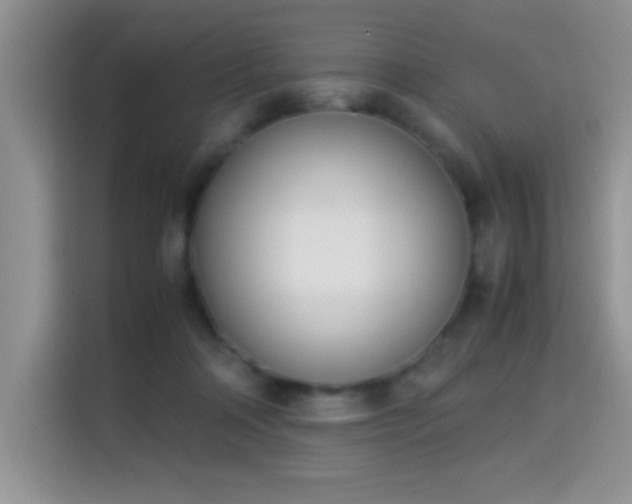 X0000115300314200911091017