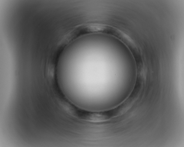 X0000115300315200911091017
