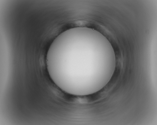 X0000115300317200911091017