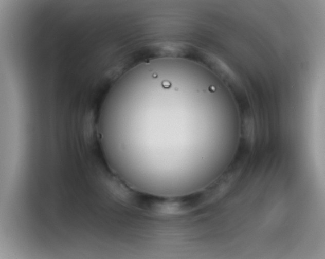 X0000115300318200911091017