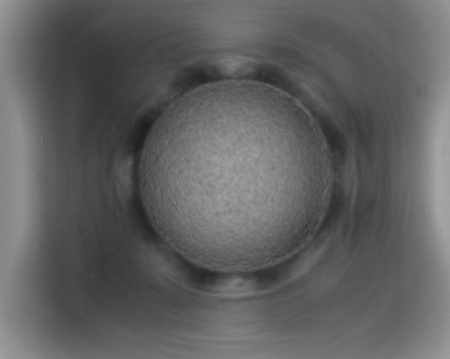 X0000115300319200911091017