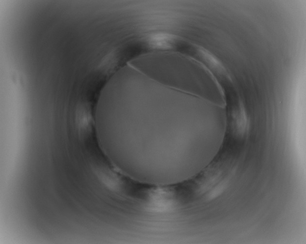 X0000115300320200911091017