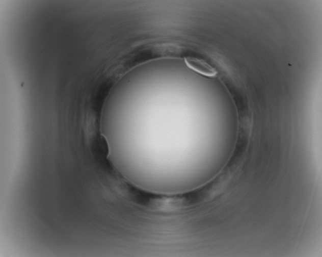 X0000115300323200911091017