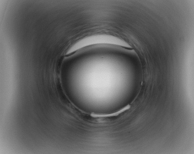 X0000115300324200911091017