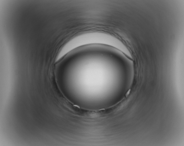 X0000115300325200911091017