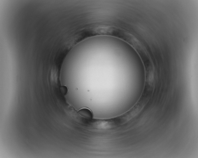 X0000115300326200911091017