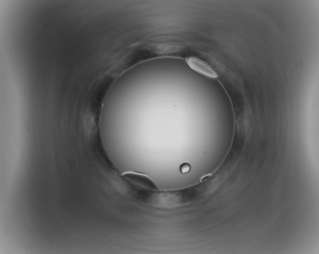 X0000115300327200911091017