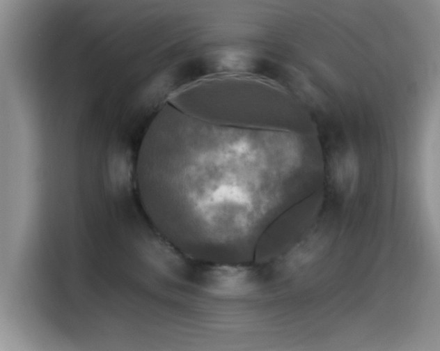 X0000115300328200911091017